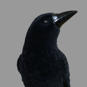 Crow on Skull Ornament