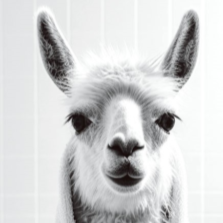 Llama in a Bath Glass Wall Art – H60 x W40 cm
