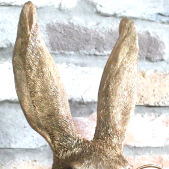 Monocle Rabbit Head Wall Décor