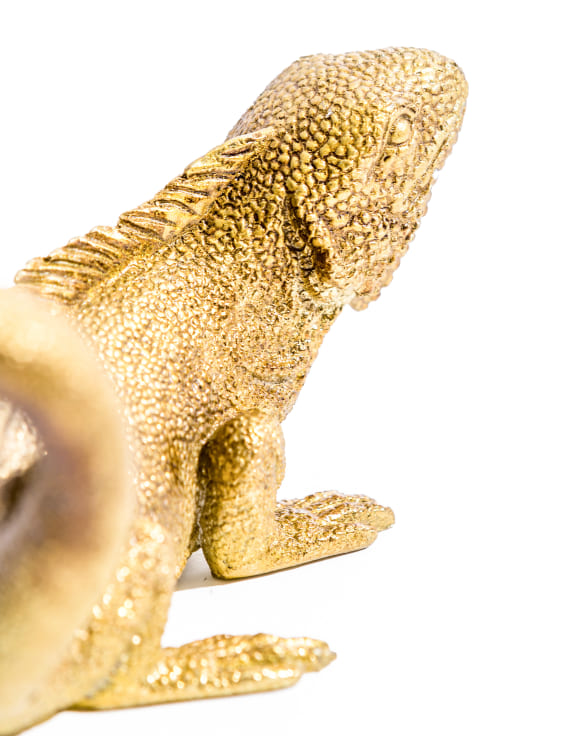 Iguana Wall / Table Lamp