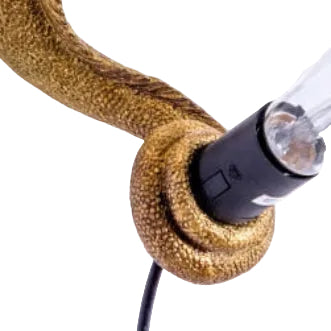 Iguana Wall / Table Lamp