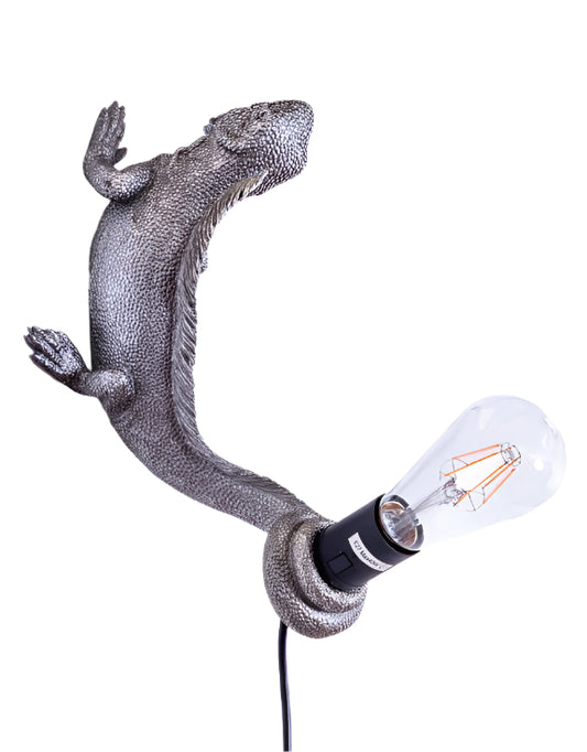 Iguana Wall / Table Lamp