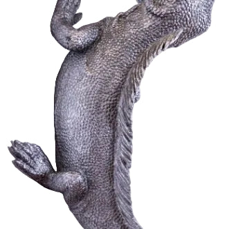 Iguana Wall / Table Lamp