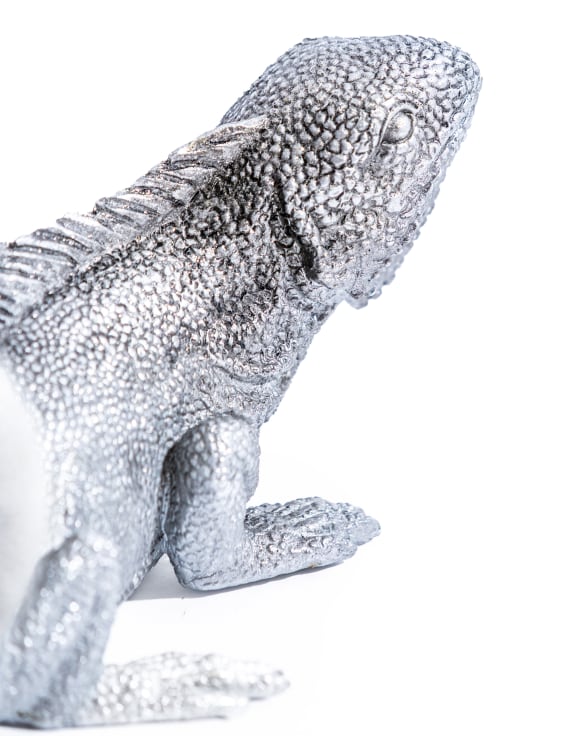 Iguana Wall / Table Lamp
