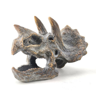 Triceratops Skull Table Decor