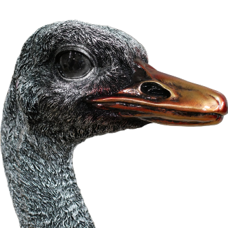 Ornamental Emu Bust