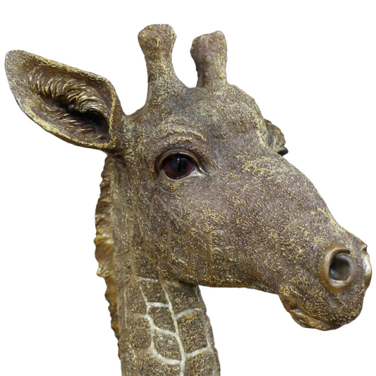 Ornamental Giraffe Bust