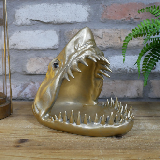 Shark Dish