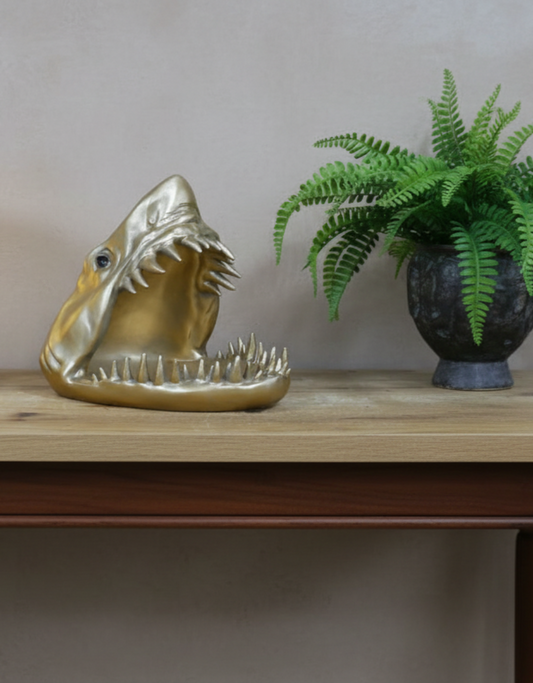 Shark Dish