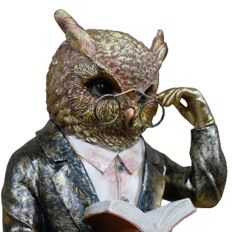 Reading Owl Bust