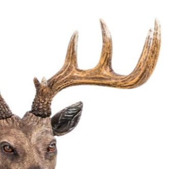 Gentry Stag Bust