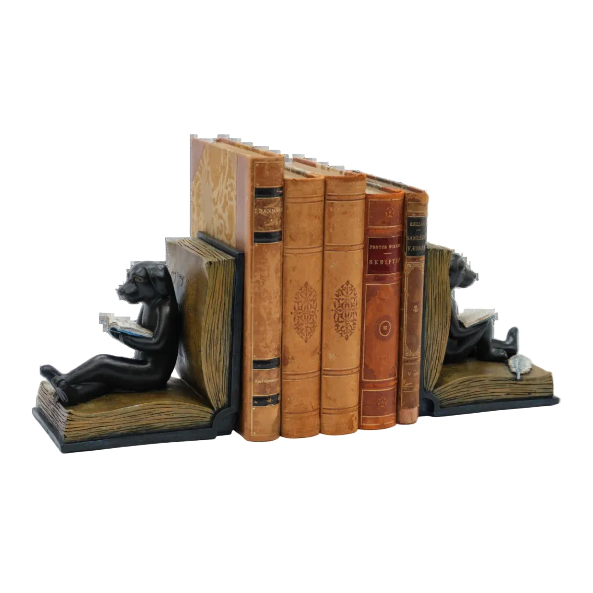 Dog Reading Bookends