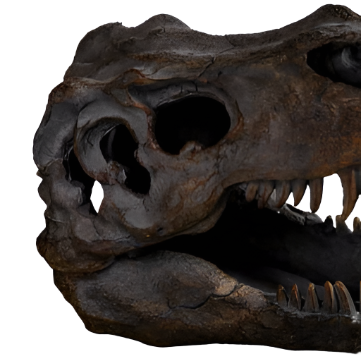 T-Rex Skull Sculpture