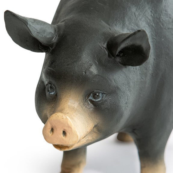 Pig Storage Bowl