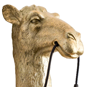 Camel Head Wall Light