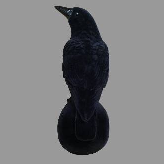 Crow on Skull Ornament