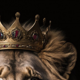 Lion Glass Wall Art - H90 x W60 cm