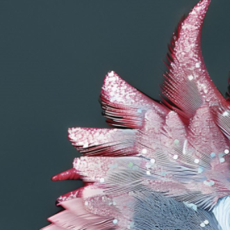 Pink Parrot Glass Wall Art - H90 x W60 cm