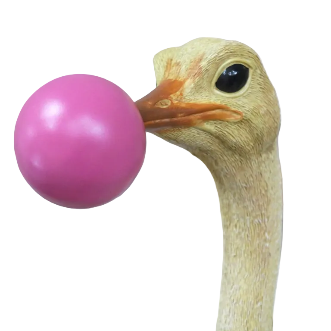 Ostrich Wall Decoration