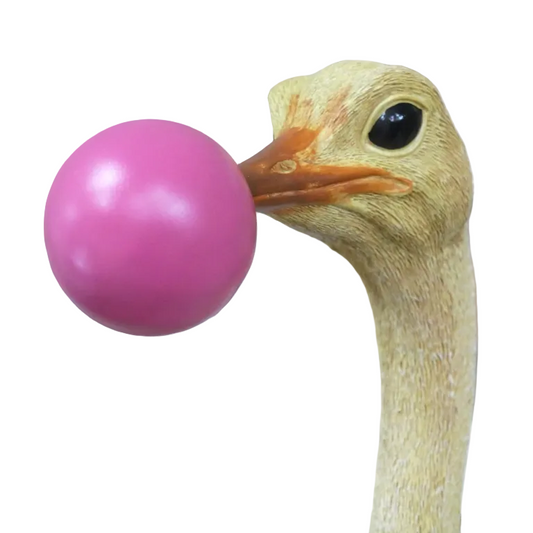 Ostrich Wall Decoration