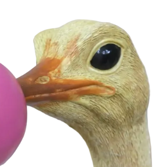 Ostrich Wall Decoration