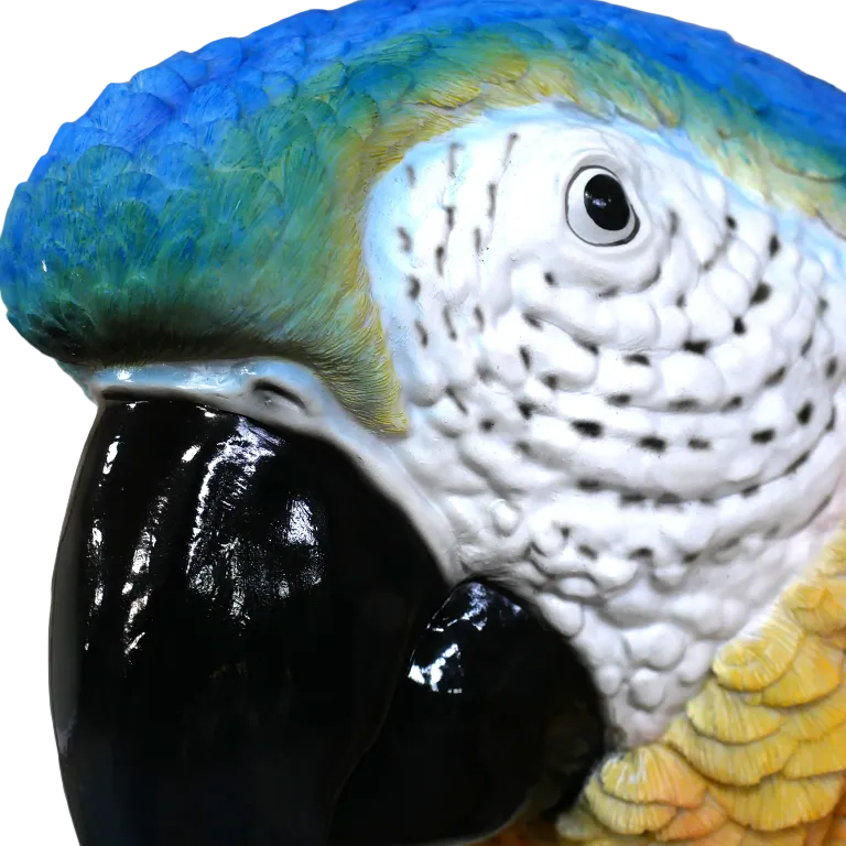 Parrot Wall Decoration