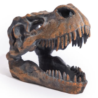 T-Rex Skull Sculpture