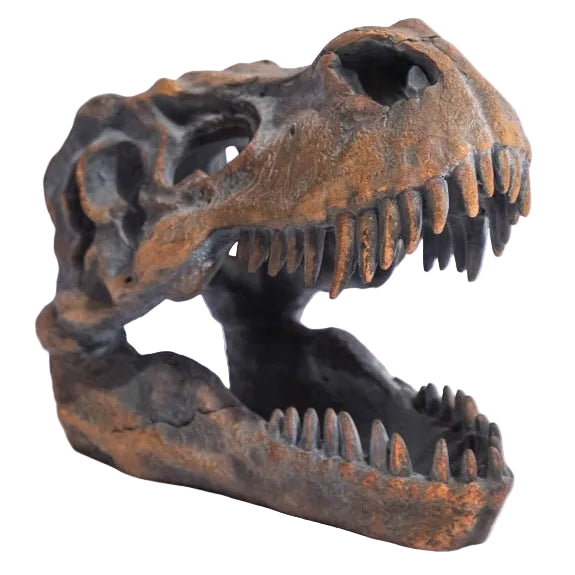 T-Rex Skull Sculpture