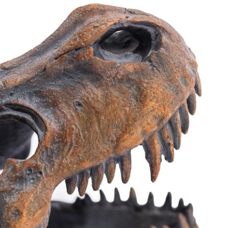 T-Rex Skull Sculpture
