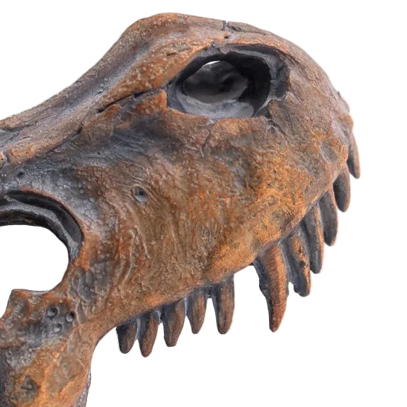 T-Rex Skull Sculpture