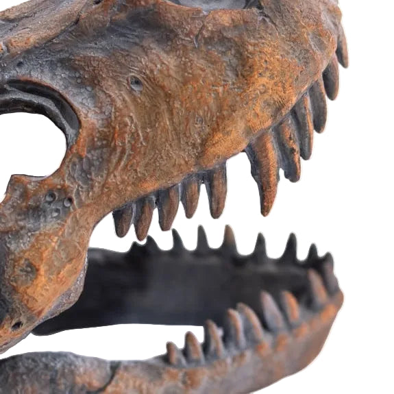 T-Rex Skull Sculpture
