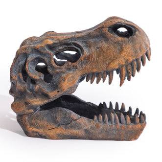 T-Rex Skull Sculpture