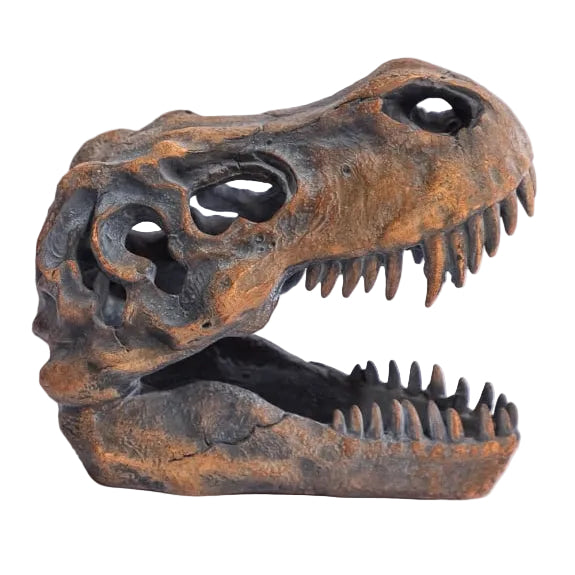 T-Rex Skull Sculpture