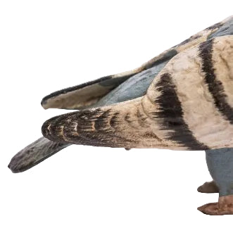 Cast Iron Pigeon Figure