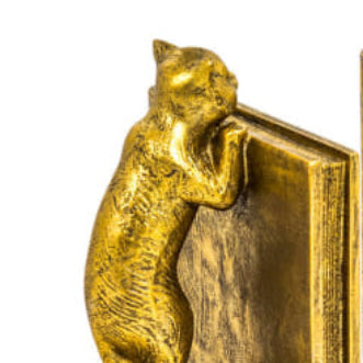 Curious Cat Bookends