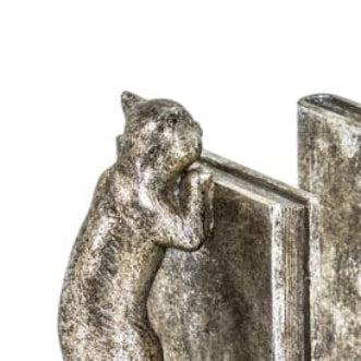 Curious Cat Bookends