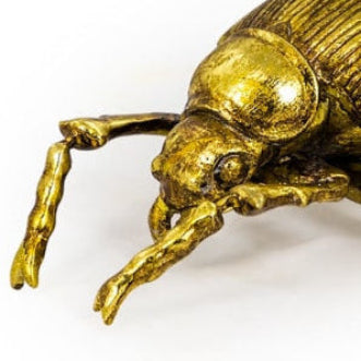 Antique Gold Beetle Wall Decor
