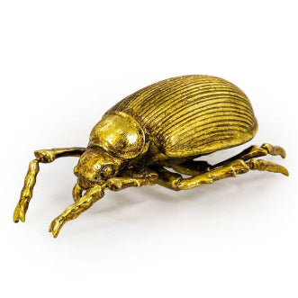 Antique Gold Beetle Wall Decor