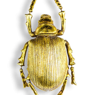 Antique Gold Beetle Wall Decor