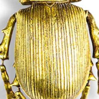Antique Gold Beetle Wall Decor
