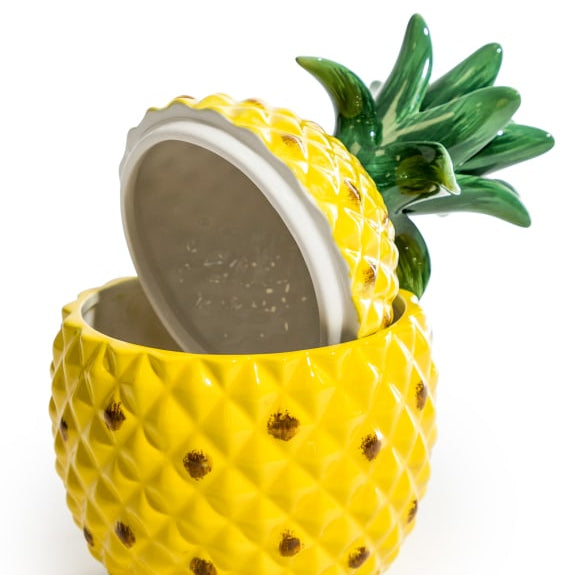 Ceramic Pineapple Jar