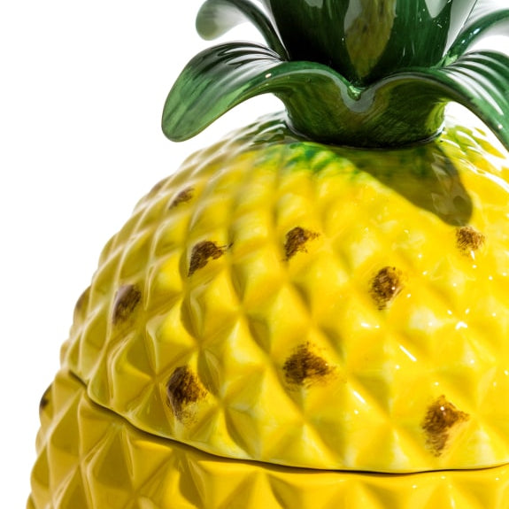 Ceramic Pineapple Jar
