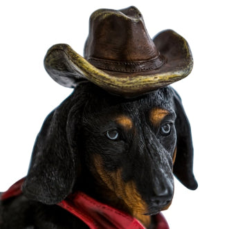 Deputy Dachshund Dog
