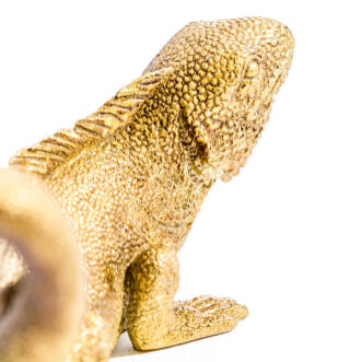 Iguana Wall / Table Lamp