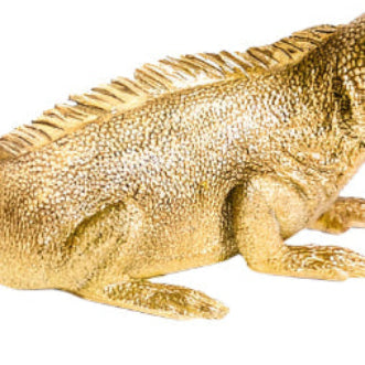 Iguana Wall / Table Lamp