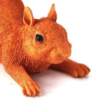 Squirrel Storage Bowl