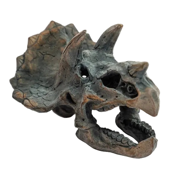 Triceratops Skull Table Decor