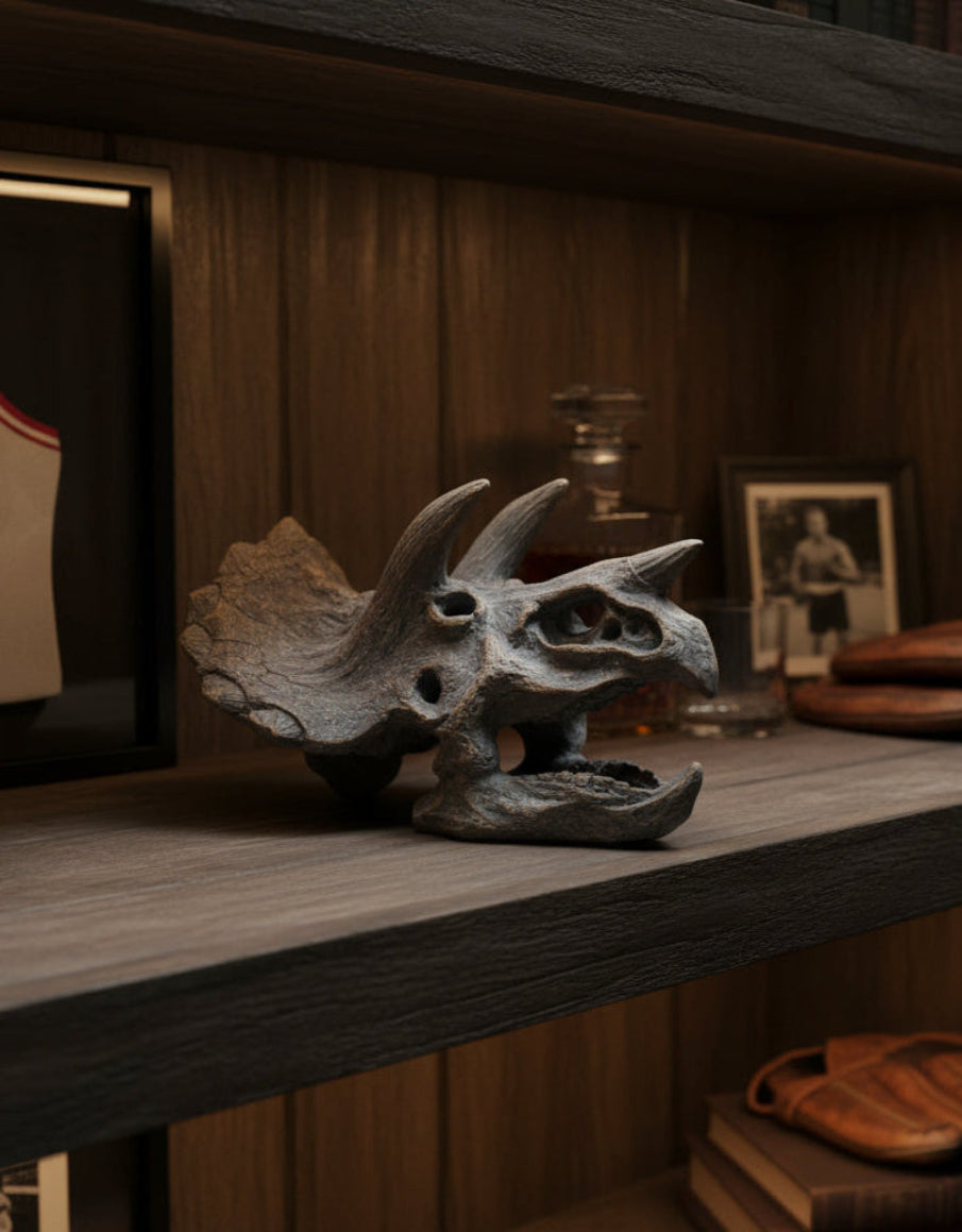 Triceratops Skull Table Decor
