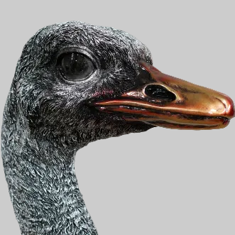 Ornamental Emu Bust