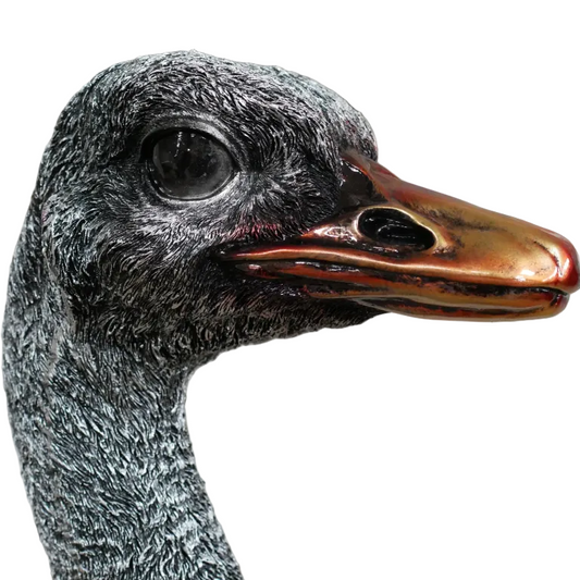 Ornamental Emu Bust